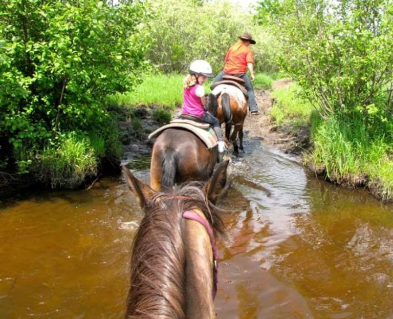 Trail Riding – Pine River Stables