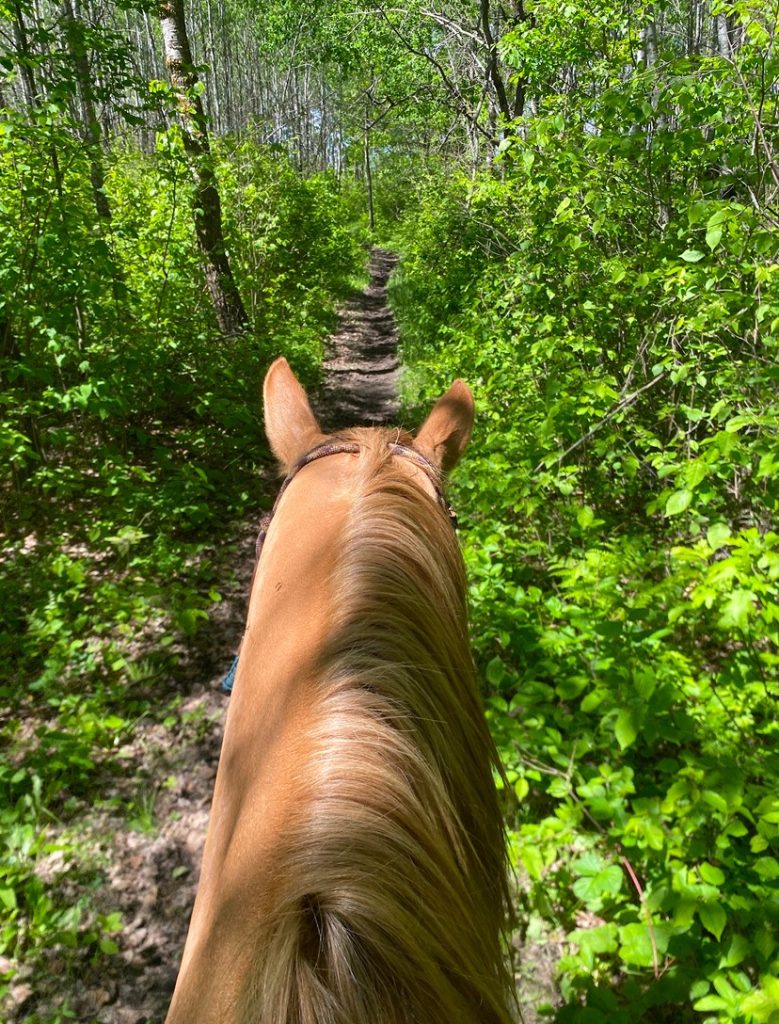 Pine River Stables – Riding on Faith at our 400-Acre Family Ranch
