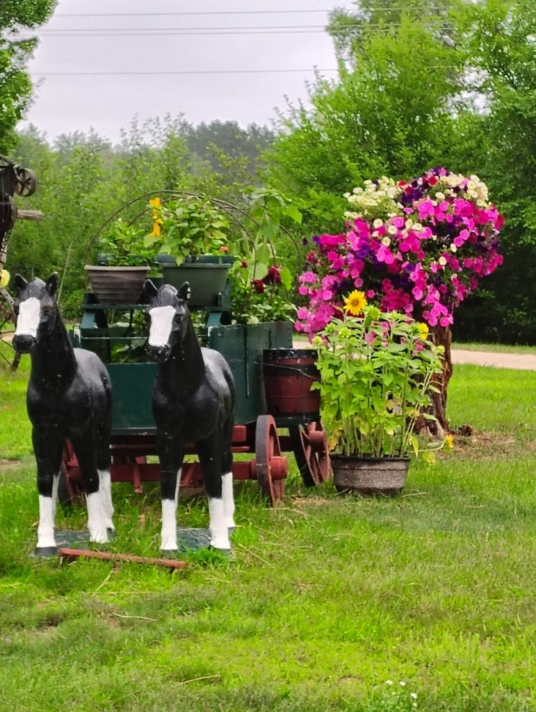 Trail Riding – Pine River Stables